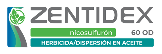 ZENTIDEX 60